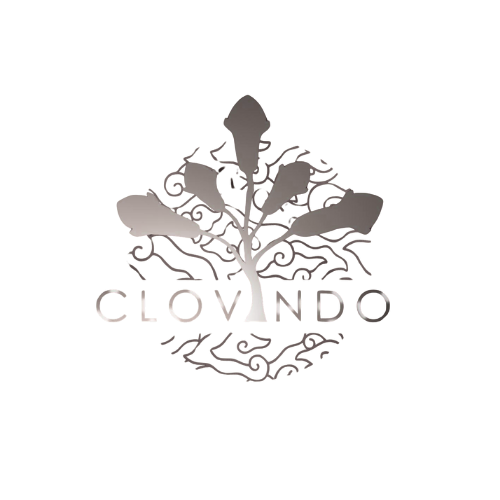 Clovindo Logo