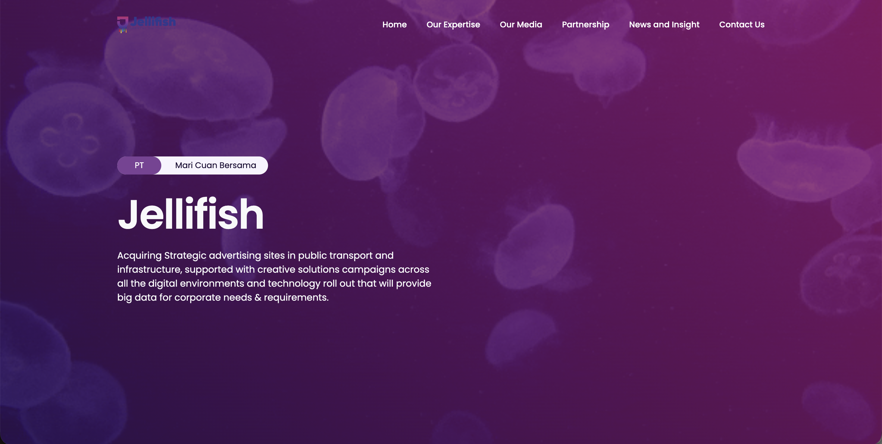 Illuminating the Streets with Digital Brilliance